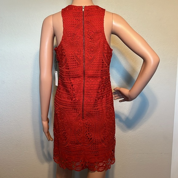 Lovers and Friends Caspian Red Lace Shift Dress - Picture 8 of 11